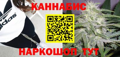 спиды Бийск