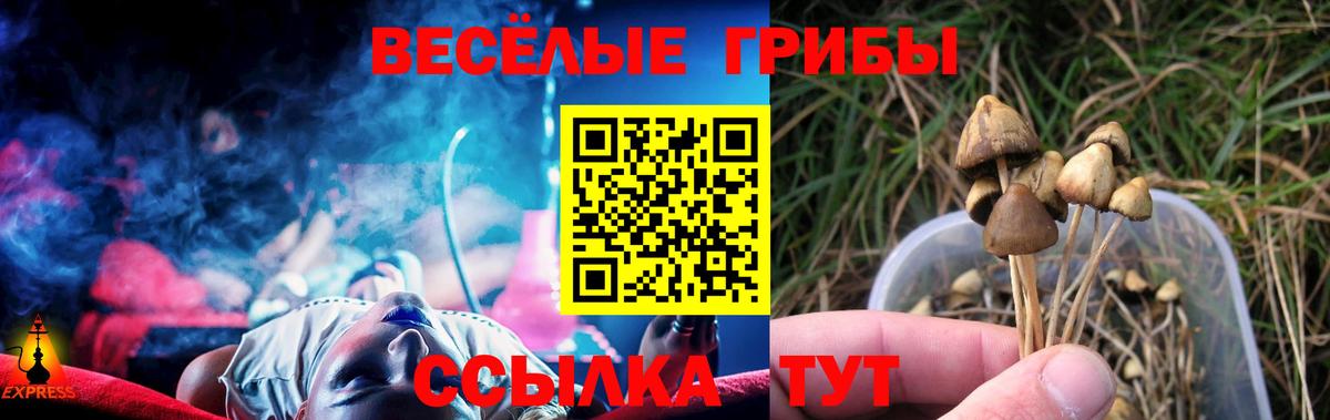 Псилоцибиновые грибы Cubensis  Вход с VPN  Качканар 