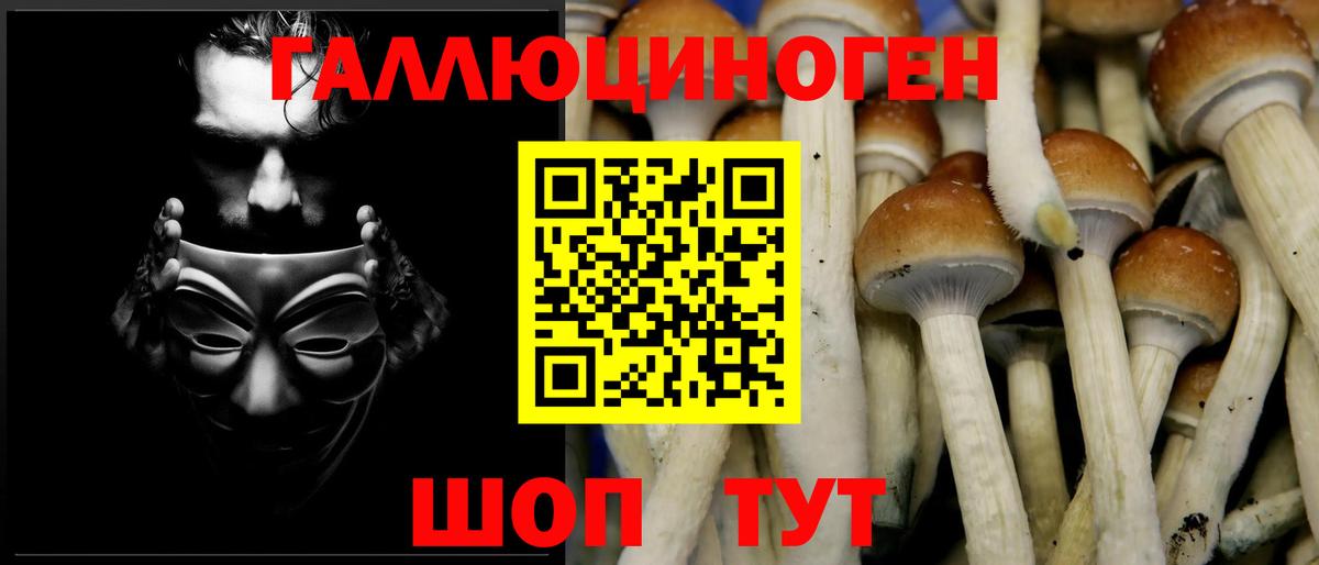 Псилоцибиновые грибы Magic Shrooms Качканар